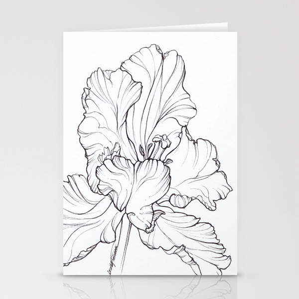 Windswept Tulip Ink Illustration Stationery Cards By Dorothyfatunmbi Society6 Ink drawings love drawings easy drawings tulip drawing plant drawing art du croquis drawing hands free art prints inspiration art. society6