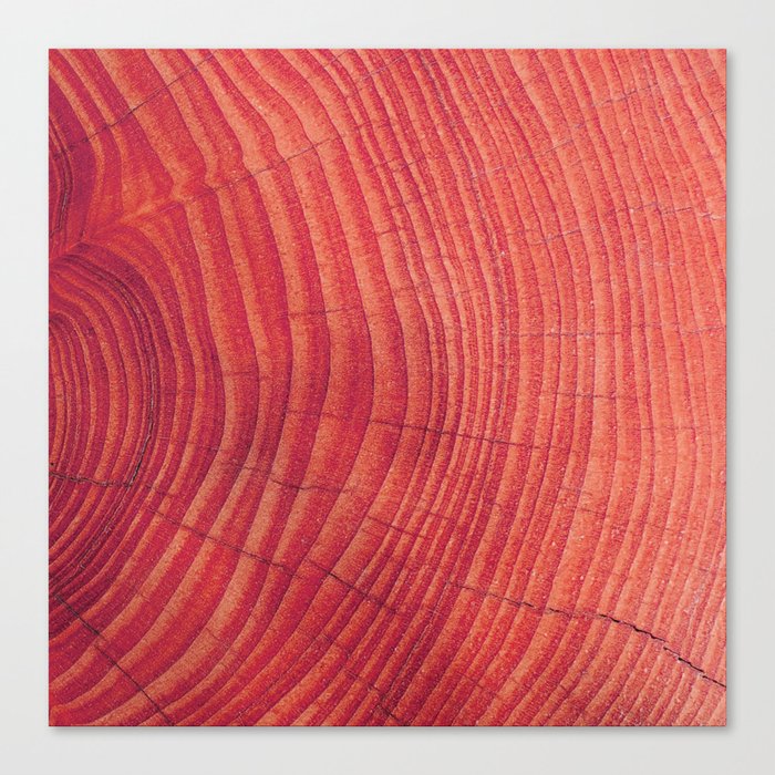 Red wood Canvas Print