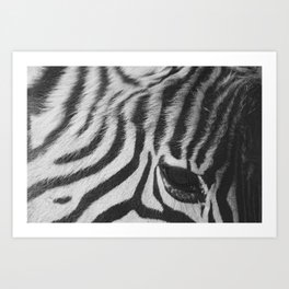 Zebra | stripes | african | minimal | black and white | photo print Art Print