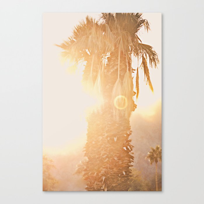 California Fine Art Print Yellow, Peach, Cream La Quinta Palm Tree Photograph - Desert Sunset  Canvas Print