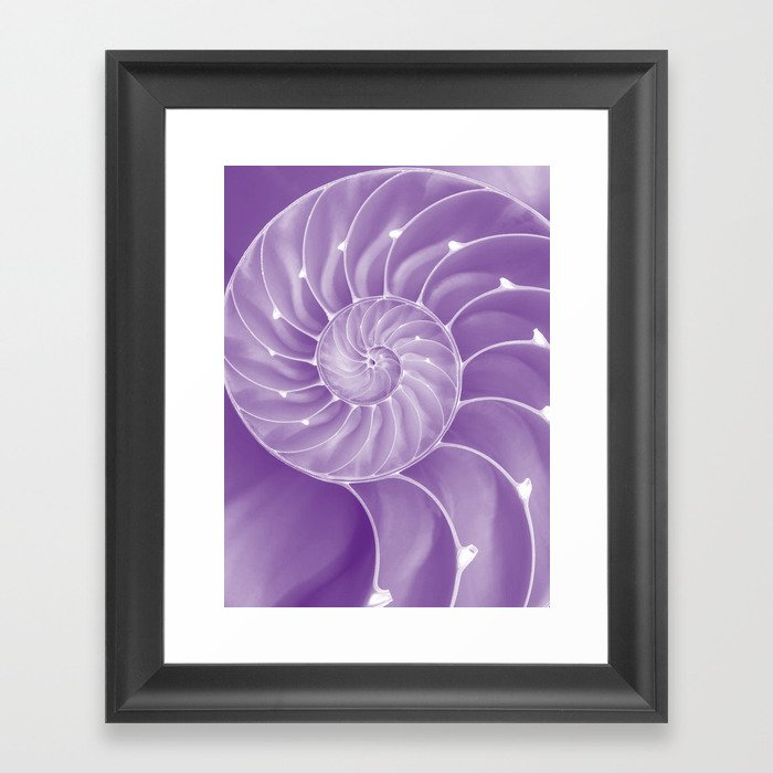 Ultra Violet Chambered Nautilus Framed Art Print