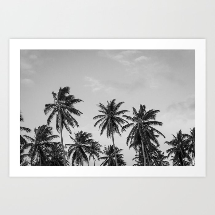 Black And White Palm Trees Art Print By Artpics Society6