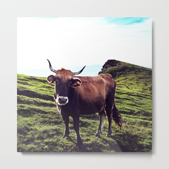 Cow in the Alps, Mountains Metal Print