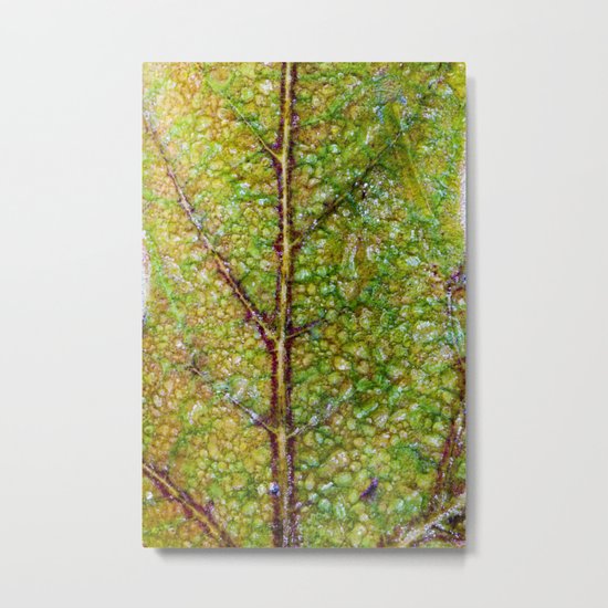 thawing Metal Print