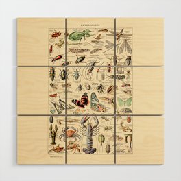 Vintage Insect Identification Chart // Arthropodes by Adolphe Millot 19th Century Science Artwork Wood Wall Art