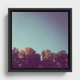 Treetops Framed Canvas