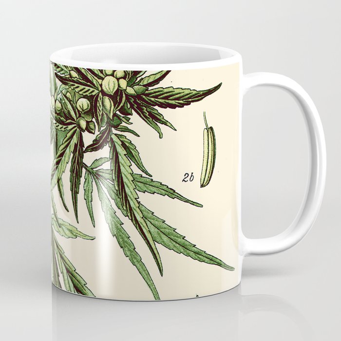 Cannabis Sativa - Vintage botanical illustration Coffee Mug