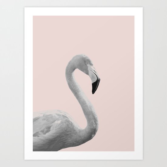 Flamingo Art Print