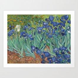 Irises, Van Gogh Art Print