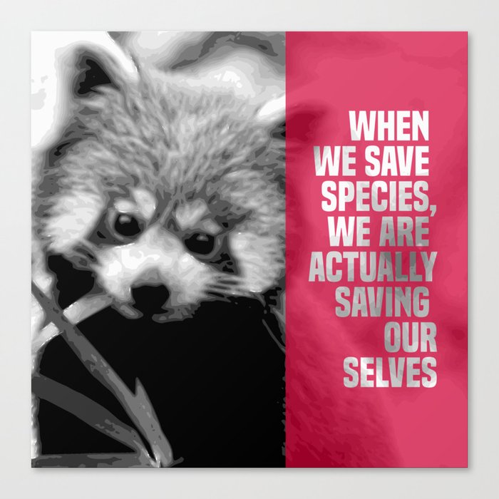 when we save species, we are actually saving ourselves.(endangered animal lesser panda) Canvas Print