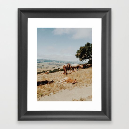 Nap Time Framed Art Print