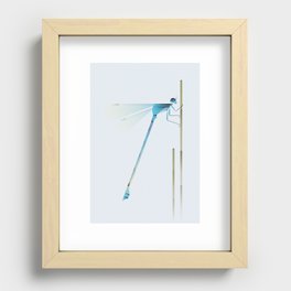 The damselfly Recessed Framed Print