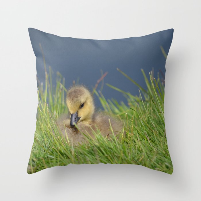 Fluffy - Cute Baby Canada Goose Throw Pillow