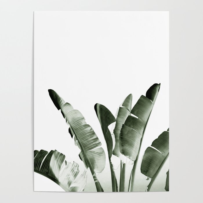 Traveler palm Poster