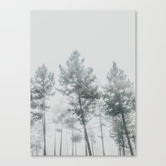 Forest Canvas Print