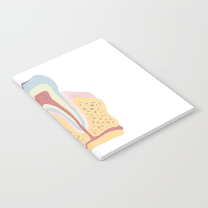 Pinata anatomy Notebook