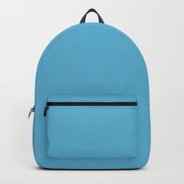 Unrestrained Mid Tone Blue Solid Color Pairs To Sherwin Williams Flyway SW 6794 Backpack