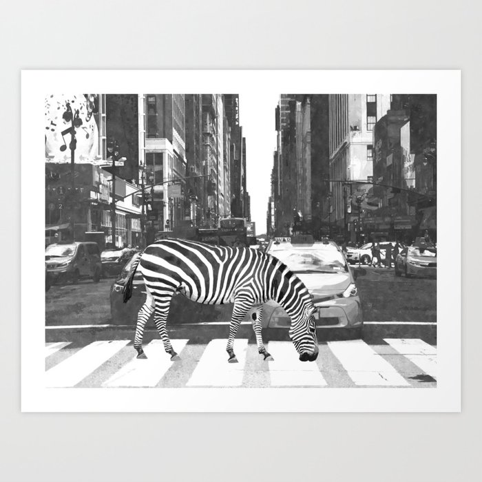 Black and White Zebra in NYC Art Print