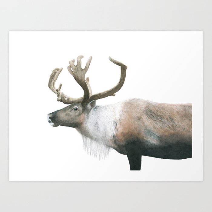 Watercolor Reindeer Art Print