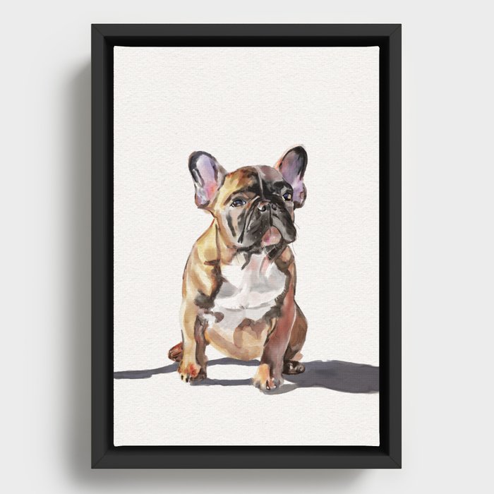 French Bulldog  Framed Canvas