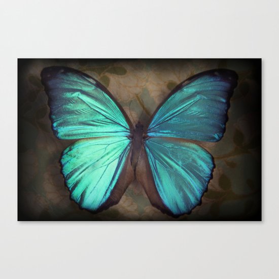 Vintage Butterfly Canvas Print