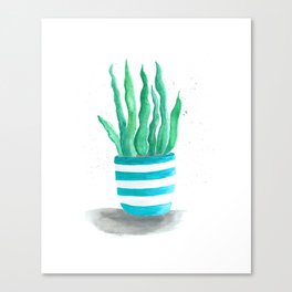 Succulents in a turquoise pot Canvas Print