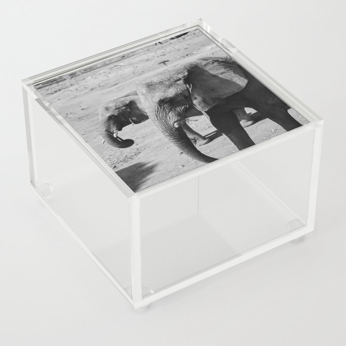 Elephant duo in black & white Acrylic Box