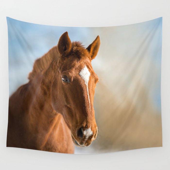 Brown Horse Winter Sky Wall Tapestry