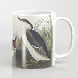 Least Stormy-Petrel from Birds of America (1827) by John James Audubon etched by William Home Lizars Coffee Mug
