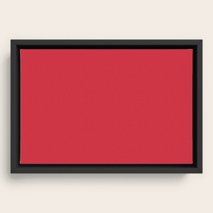 Framed Canvas