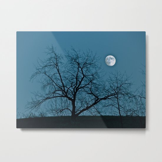 Full Moon 11-8-11 Metal Print