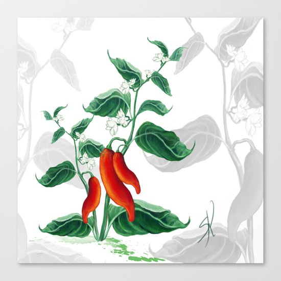 Chili Canvas Print