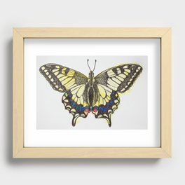 Swallowtail Butterfly Recessed Framed Print
