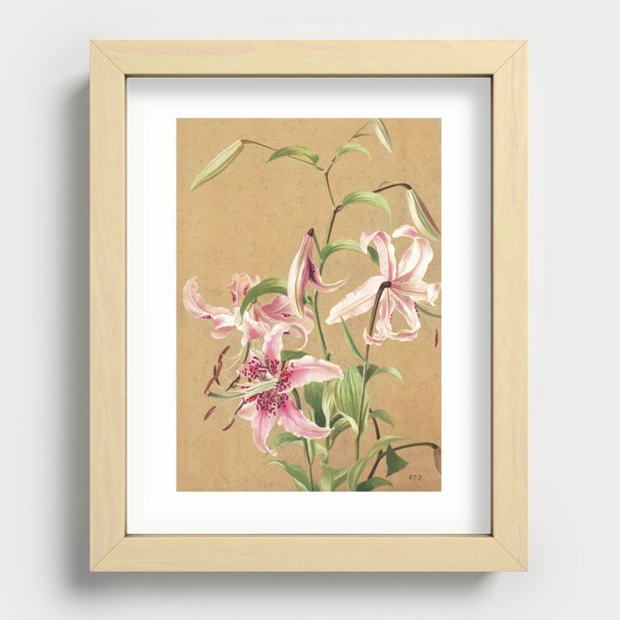 Lilies no. 5 Recessed Framed Print