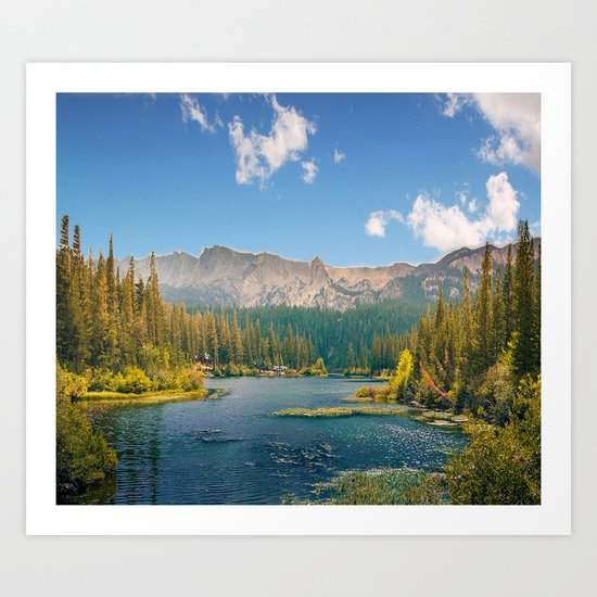 Penetrating in nature Art Print