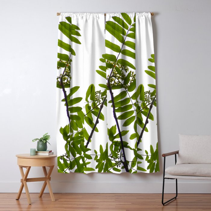 Green Rowan Leaves White Background Blackout Curtain By
