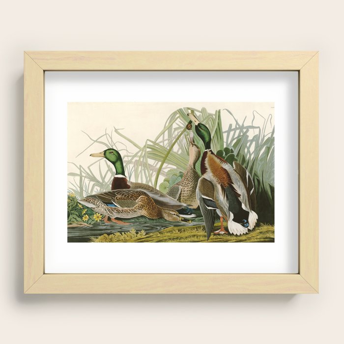 Recessed Framed Print