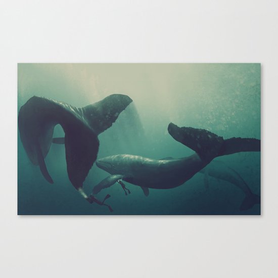 Swimming with whales Canvas Print