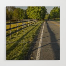 Country road Wood Wall Art