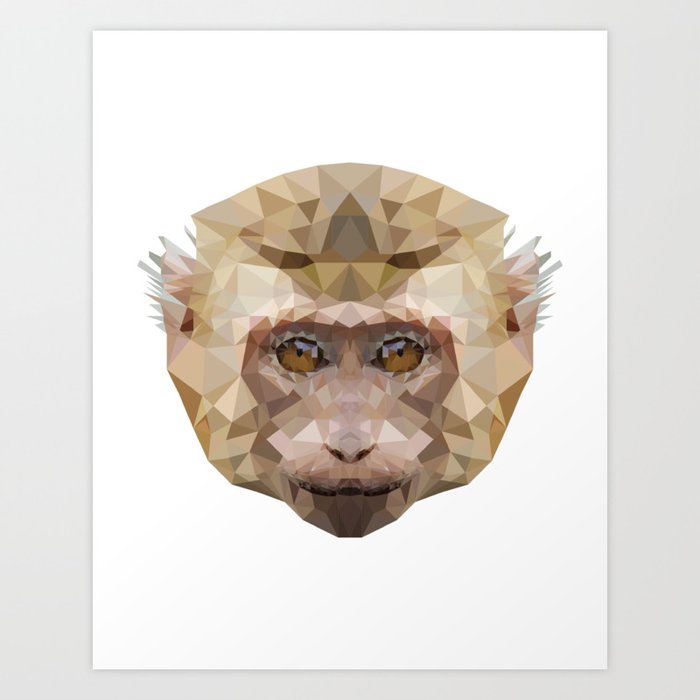 Primate Monkey Head Art Print