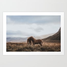 Wild Horses Art Print