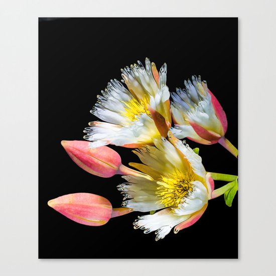Bold and Wild Flowers Canvas Print