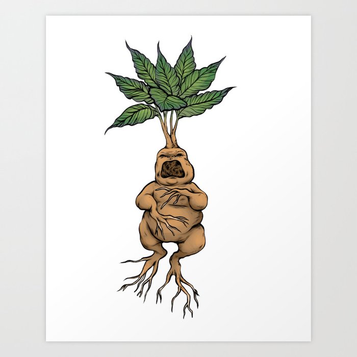 Mandrake Art Print by Spookish Delight Society6
