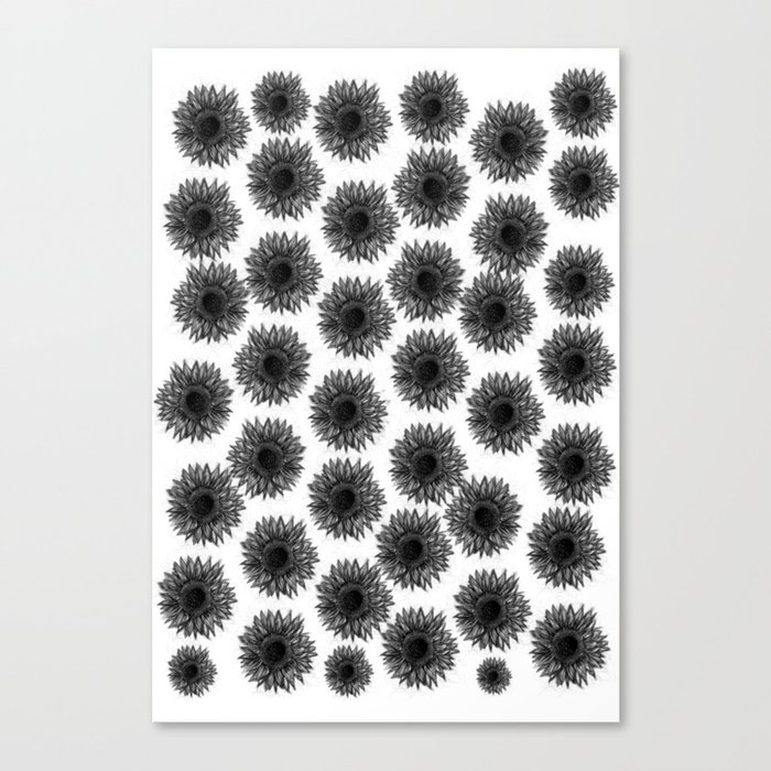 Sunflowers b Canvas Print