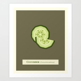 Fresh Cucumber Art Print