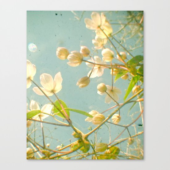 Tangled Canvas Print