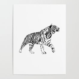 black and white tiger sketch Poster