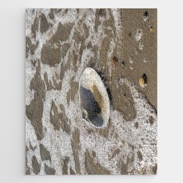 Clam shell against the tide Jigsaw Puzzle