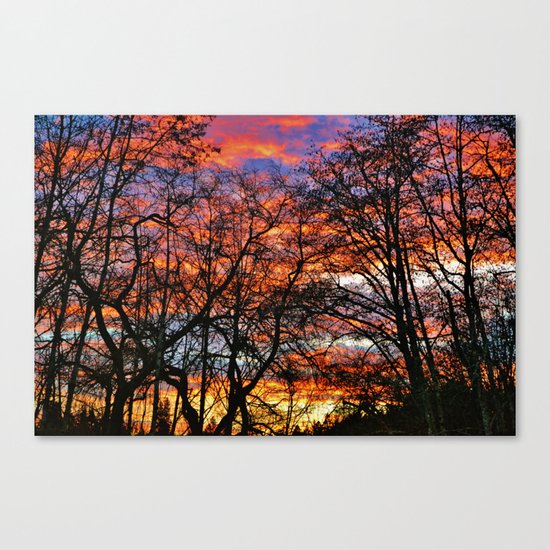 January Canvas Print