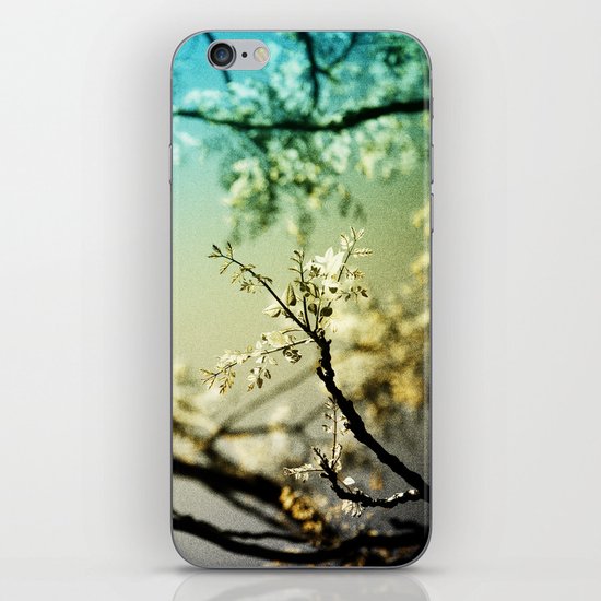 Caramel iPhone & iPod Skin